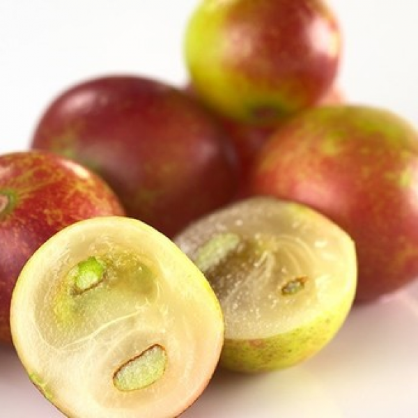 有機卡姆果粉 Organic Camu Camu Powder