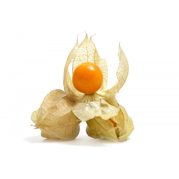 有機黃金莓乾 Organic Dried Golden Berries